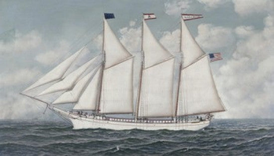 Schooner Elsie Bayless Fine Art Print by Antonio Jacobsen