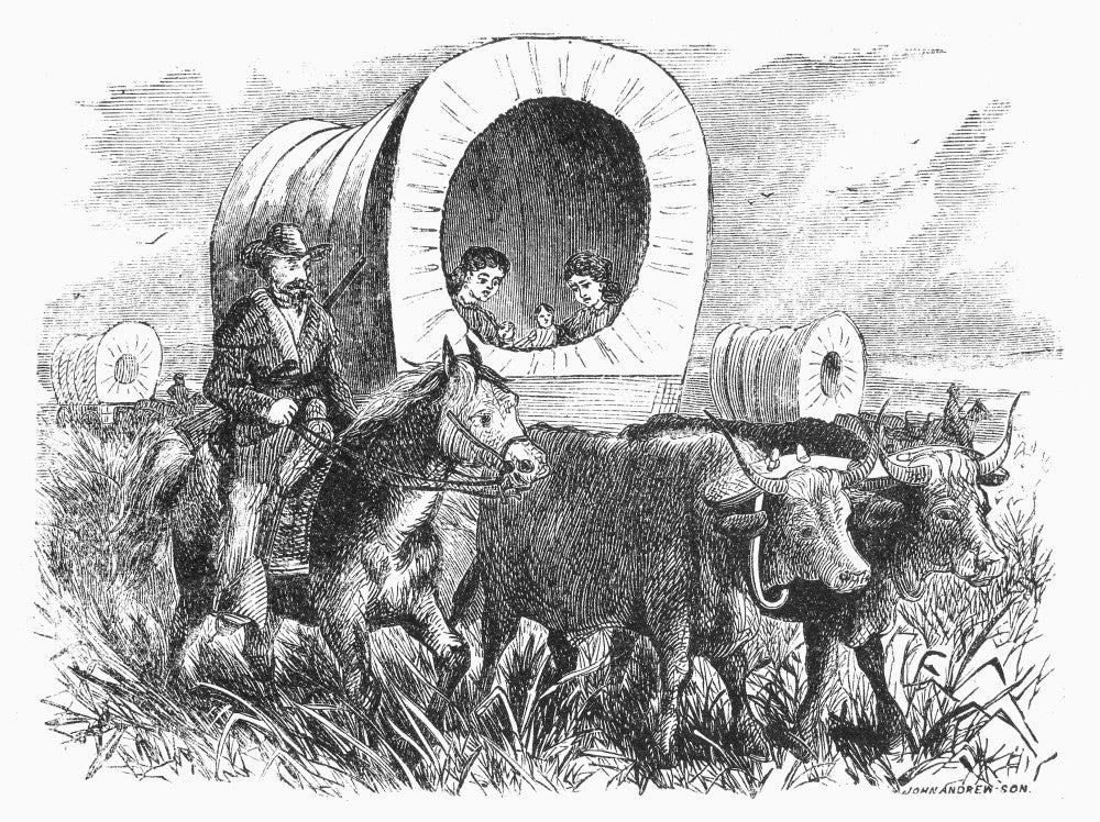 Emigrants Crossing The American Plains Fine Art Print by Granger Collection