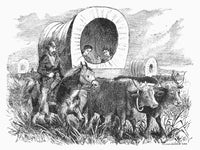 Emigrants Crossing The American Plains Fine Art Print by Granger Collection