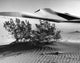 Arizona, USA Fine Art Print - Stunning Landscape Poster