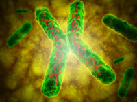 Conceptual Telomere Fine Art Print | Science Wall Decor