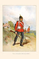 Queen's 2nd Royal Surrey Fine Art Print by Walter Richards
