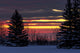 Colourful Clouds at Sunrise Over Snowy Evergreens - Calgary Fine Art Print by Michael Interisano