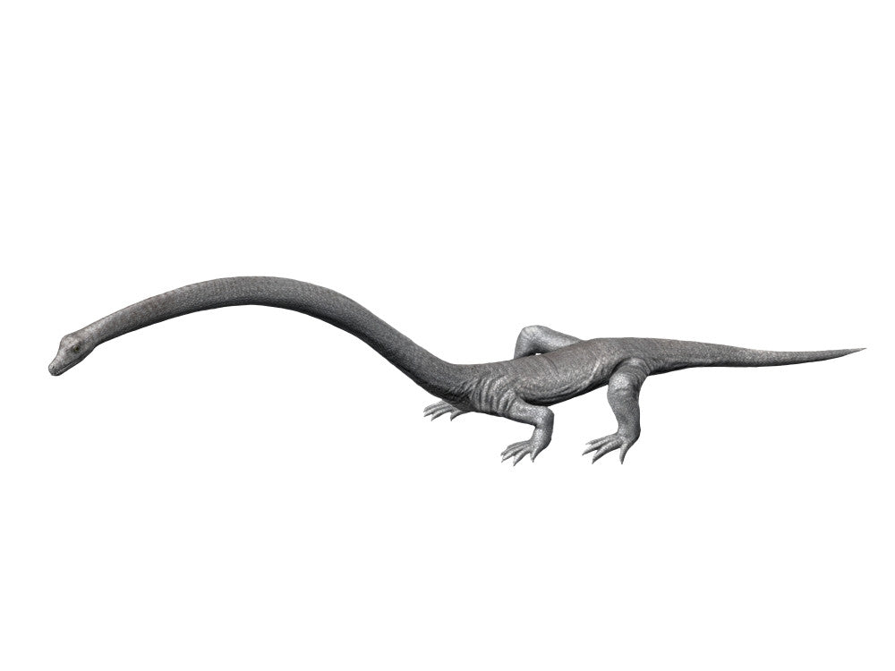 Tanystropheus Fine Art Print from the Middle Triassic Period