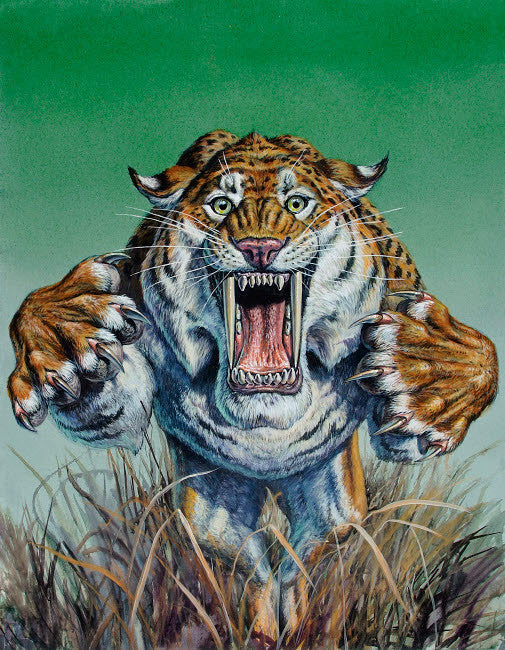 Smilodon Springing Forward Pleistocene Epoch Fine Art Print by Mark Hallett