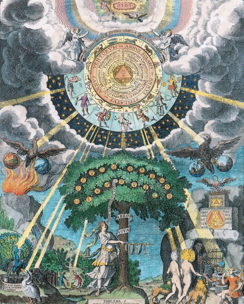 Alchemy Tree of Life Fine Art Print by Science Source