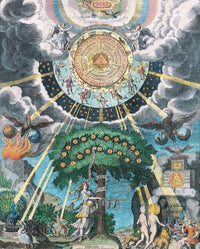 Alchemy Tree of Life Fine Art Print by Science Source