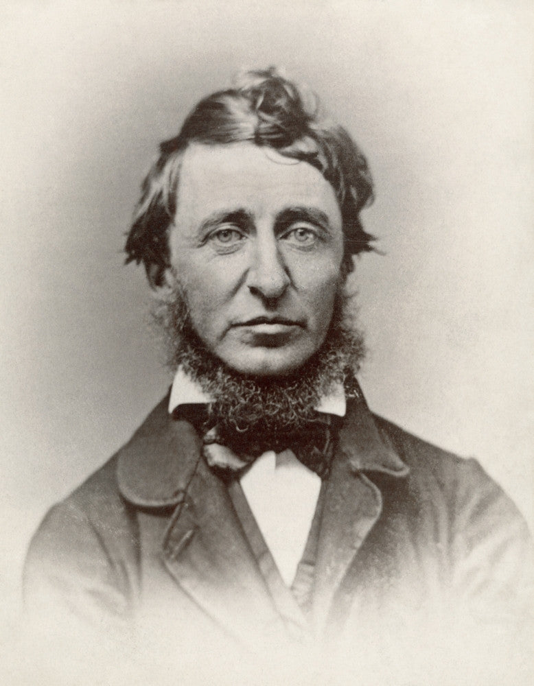 Henry David Thoreau 19th Century Daguerreotype Fine Art Print
