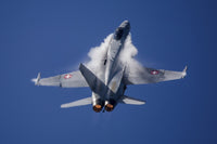 Swiss Air Force F-18C Fine Art Print - 9G Pull-Up by Timm Ziegenthaler
