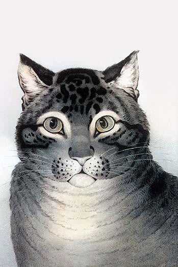 Vintage Cat Portrait Fine Art Print by Nathaniel Currier