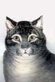 Vintage Cat Portrait Fine Art Print by Nathaniel Currier