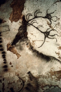 Great Stag Prehistoric Art Print from Lascaux Caves, France
