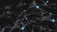 Brain Cells with Electrical Firing Fine Art Print by Bruce Rolff