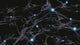 Brain Cells with Electrical Firing Fine Art Print by Bruce Rolff