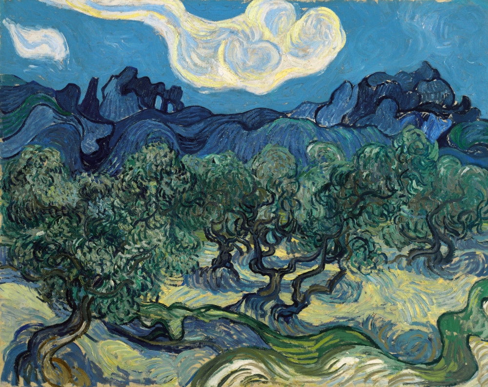 Van Gogh Olive Trees Fine Art Print - 1889 | Posterazzi