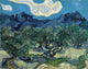Van Gogh Olive Trees Fine Art Print - 1889 | Posterazzi