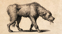 Dog with Rabies Engraving Fine Art Print - 1800
