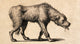 Dog with Rabies Engraving Fine Art Print - 1800