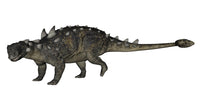 Euoplocephalus Dinosaur Fine Art Print on White Background