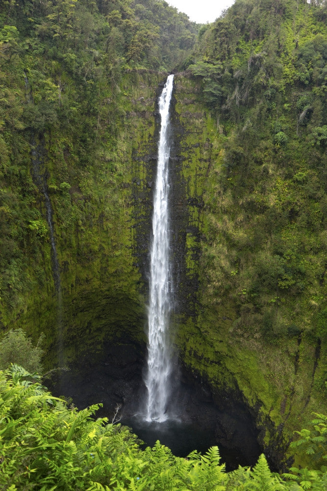 Akaka Falls, Hawaii Fine Art Print by Gayle Harper