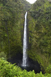 Akaka Falls, Hawaii Fine Art Print by Gayle Harper