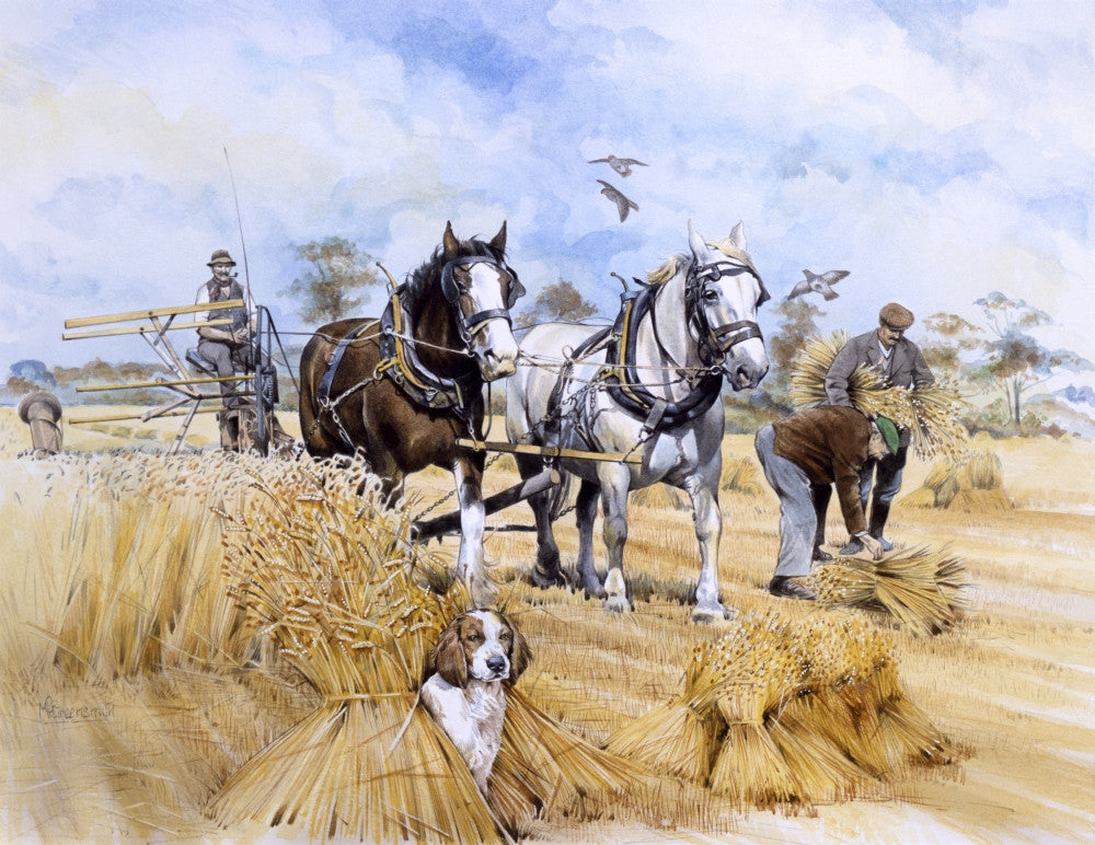 Horse-Drawn Harvester Fine Art Print by Malcolm Greensmith