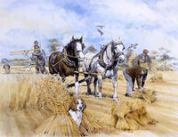 Horse-Drawn Harvester Fine Art Print by Malcolm Greensmith