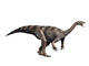 Plateosaurus Dinosaur Poster Print on White Background