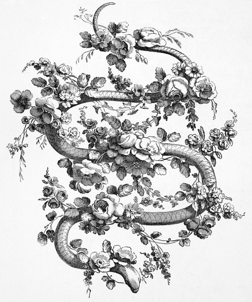 Snake and Roses Decorative Engraving Fine Art Print by Granger Collection