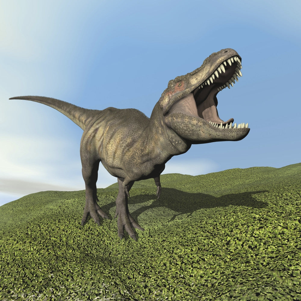 Tyrannosaurus Rex Dinosaur Walking on Grass Fine Art Print