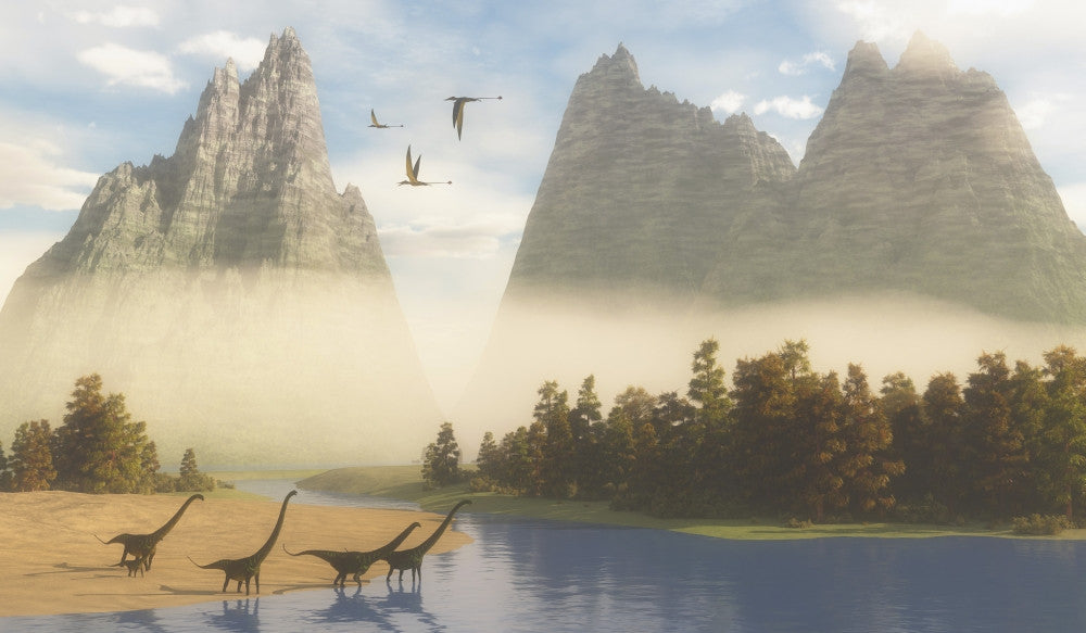 Mamenchisaurus Dinosaurs Grazing Along a River Fine Art Print by Corey Ford