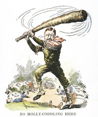 Theodore Roosevelt Cartoon 'No Molly-Coddling Here' - 1904 Fine Art Print by Granger Collection