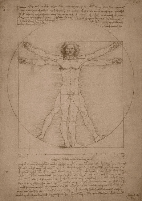 Leonardo da Vinci's Vitruvian Man Fine Art Print by John Parrot