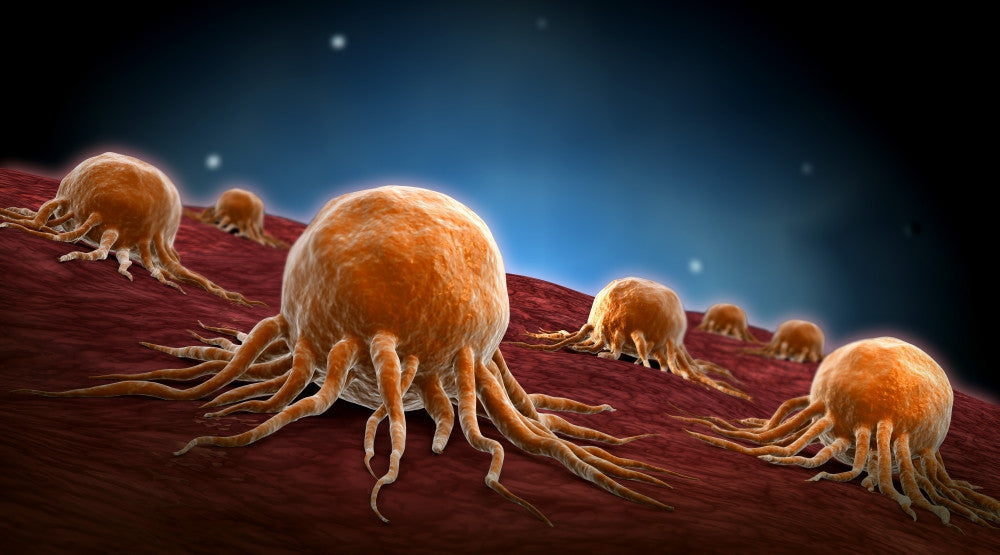 Conceptual Cancer Virus Fine Art Print - StockTrek Images