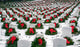 Christmas Wreaths at Arlington National Cemetery Poster Print by Stocktrek Images