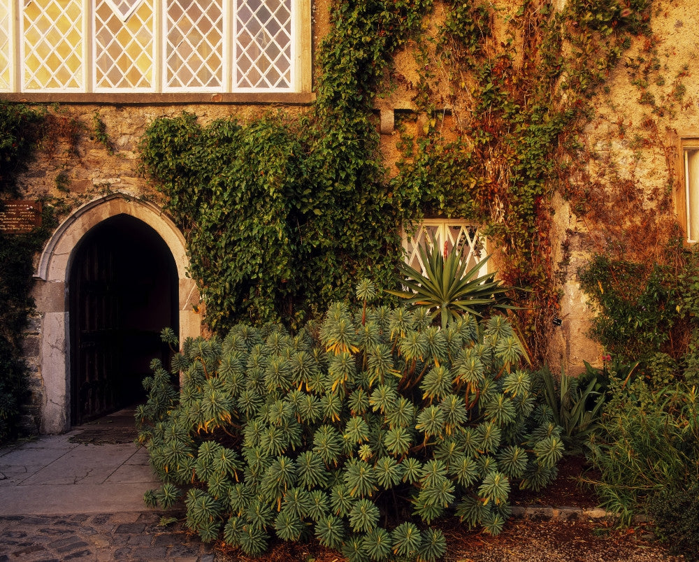 Malahide Castle & Talbot Botanic Garden Fine Art Print by The Irish Image Collection