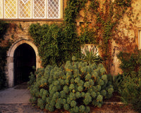 Malahide Castle & Talbot Botanic Garden Fine Art Print by The Irish Image Collection
