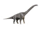 Giraffatitan Dinosaur Fine Art Print on White Background