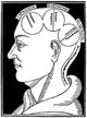 Albertus Magnus Brain Illustration Fine Art Print - Granger Collection