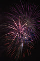 Fireworks Display in Astoria, Oregon Fine Art Print by Robert L. Potts