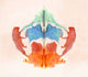 Rorschach Test Card No. 8 Fine Art Print by Science Source