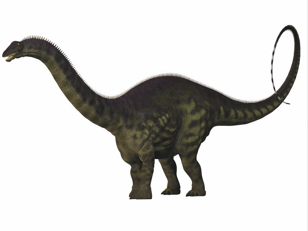 Apatosaurus Dinosaur Poster Print - Fine Art by StockTrek Images