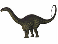 Apatosaurus Dinosaur Poster Print - Fine Art by StockTrek Images