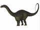 Apatosaurus Dinosaur Poster Print - Fine Art by StockTrek Images