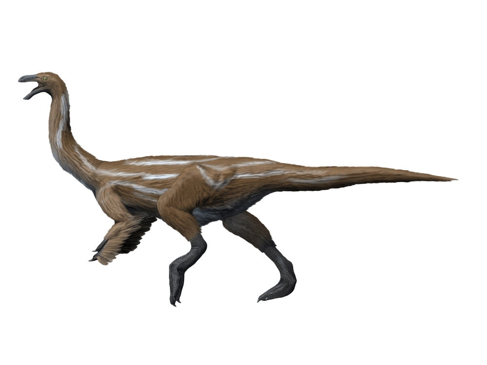 Gallimimus Dinosaur Fine Art Print on White Background