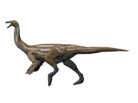 Gallimimus Dinosaur Fine Art Print on White Background