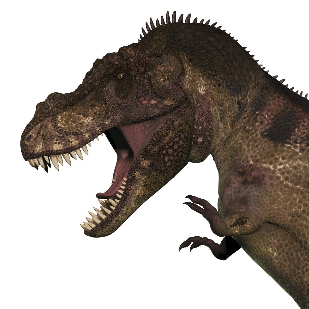T-Rex Dinosaur Head Art Print by Corey Ford | Posterazzi
