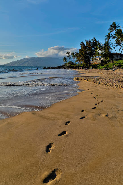 Footprints in the Sand Evening Light Fine Art Print by Darrell Gulin