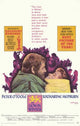 Lion in Winter Movie Poster (11 x 17) - Classic Film Art