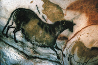 Cave Art: Lascaux - Horse from the Cave of Lascaux Poster Print